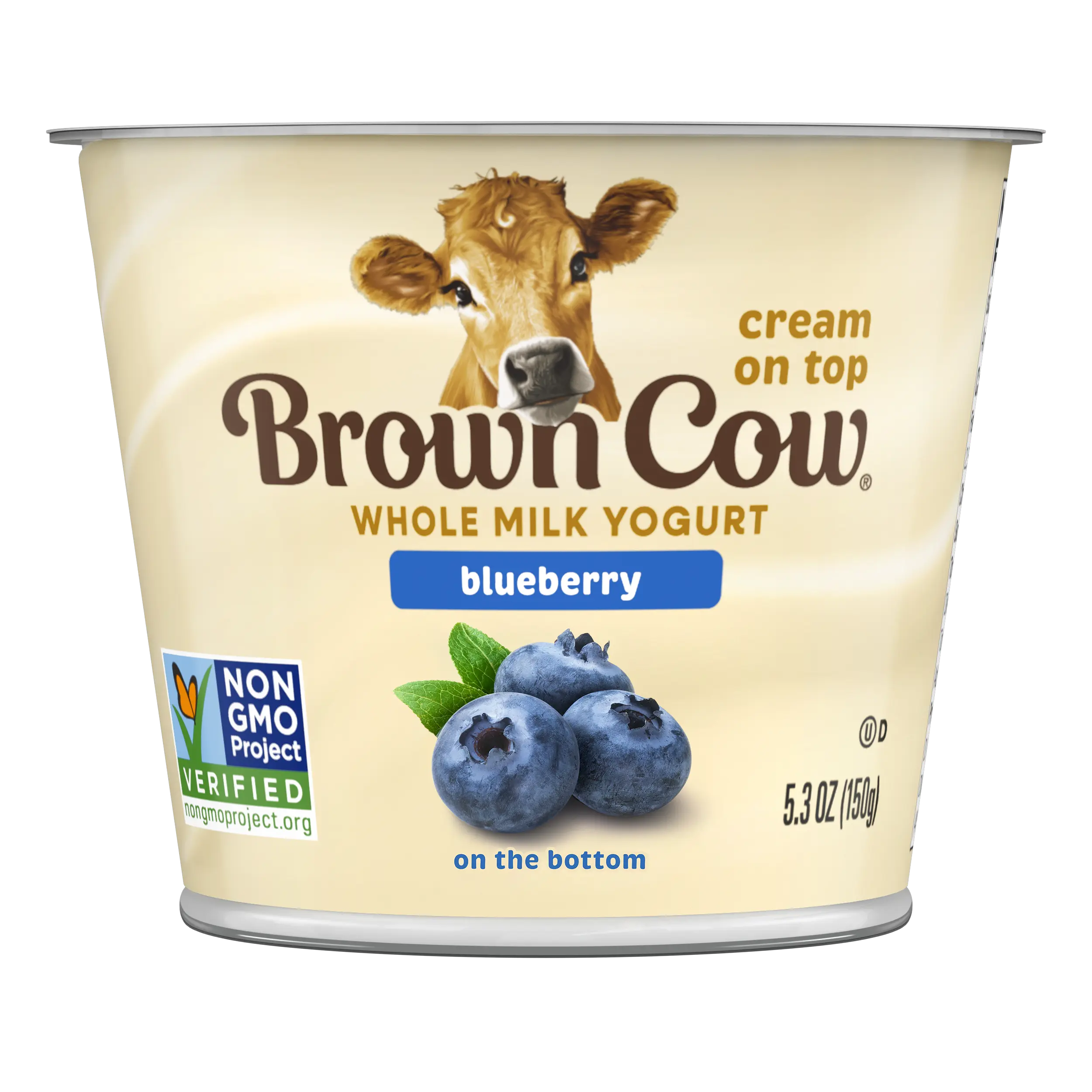 Blueberry on the Bottom