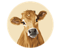 Brown Cow logo
