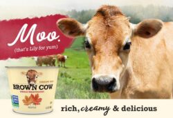 Brown Cow hero image