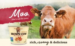 Brown Cow