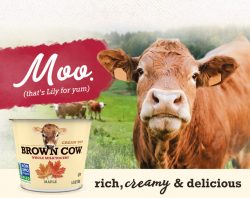 Brown Cow